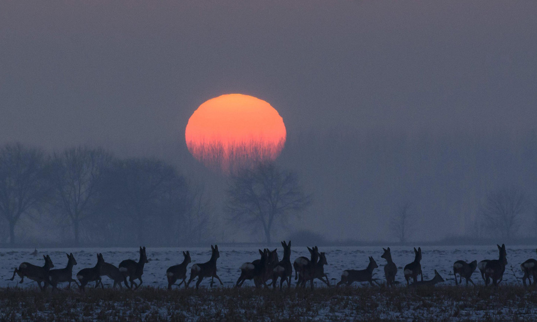 Le foto più belle della settimana – 21/27 gennaio Le foto più belle della settimana – 21/27 gennaio