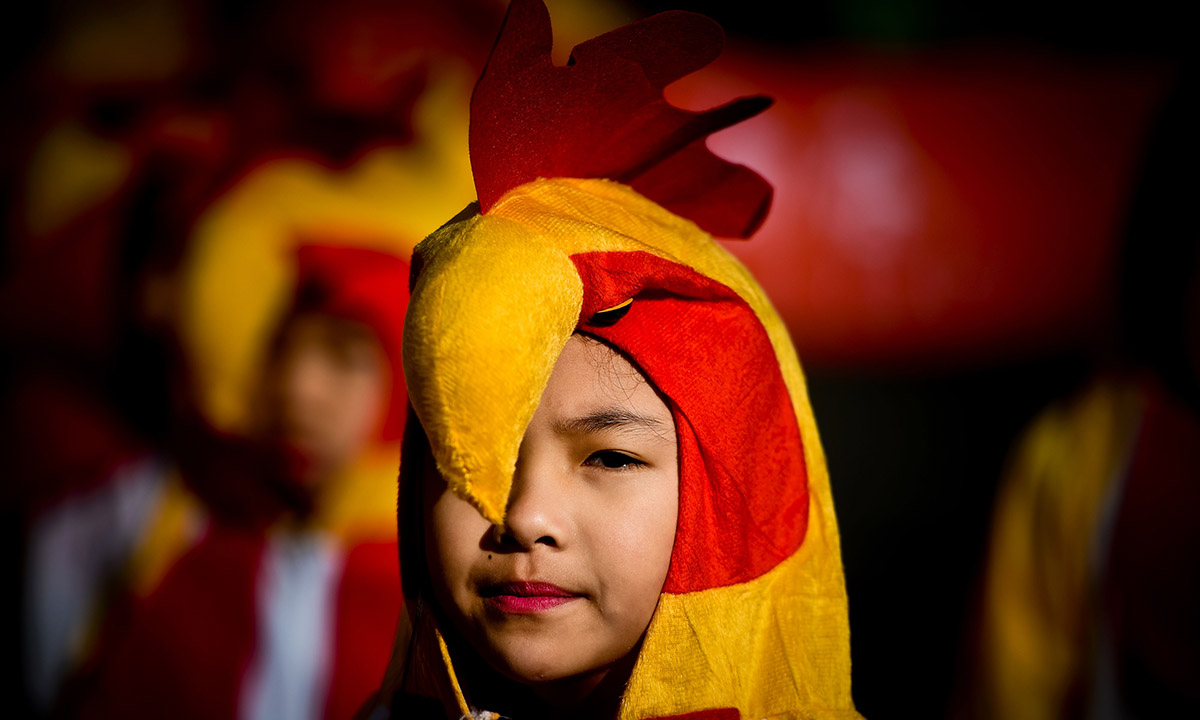 Capodanno cinese: inizia l’anno del Gallo – Foto
