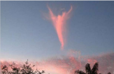 Le web bufale della settimana – Ep. 77