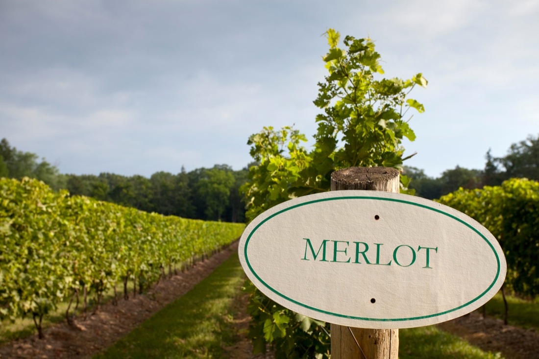 12 località per gli amanti del vino da visitare nel 2017 12 località per gli amanti del vino da visitare nel 2017