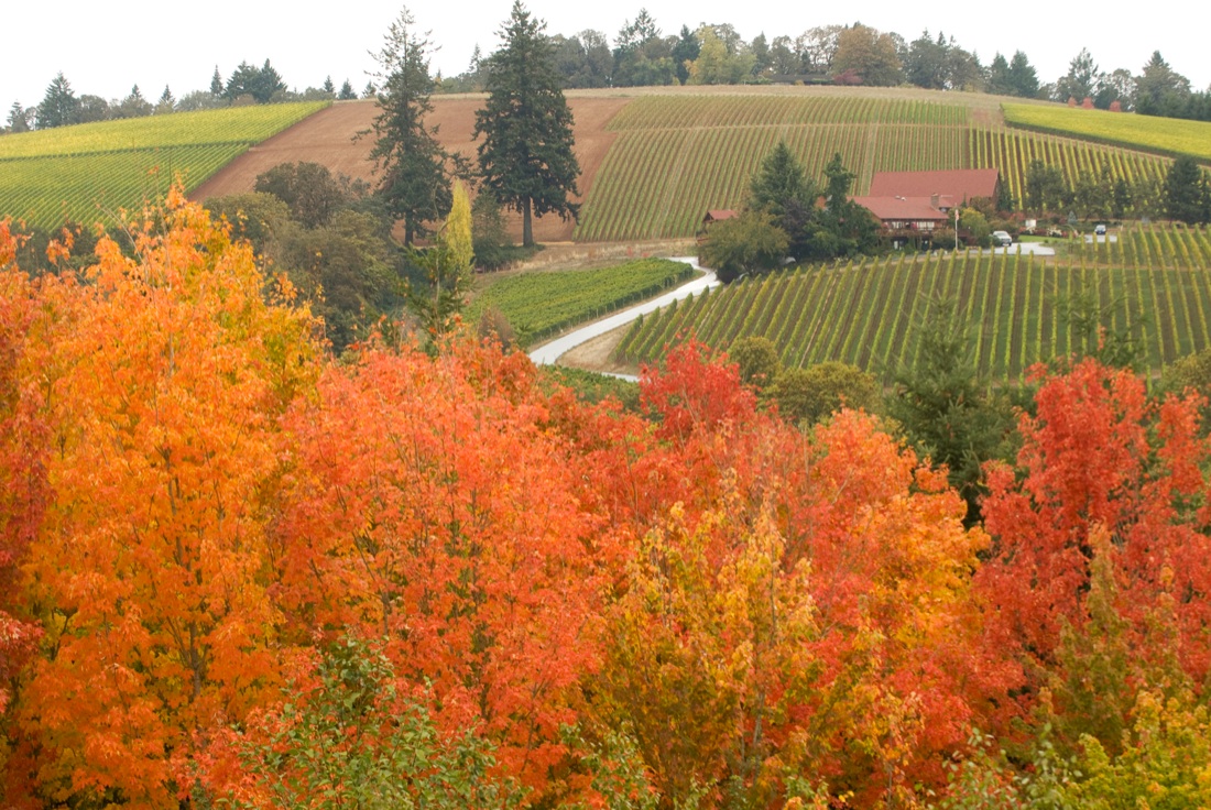 12 località per gli amanti del vino da visitare nel 2017 12 località per gli amanti del vino da visitare nel 2017