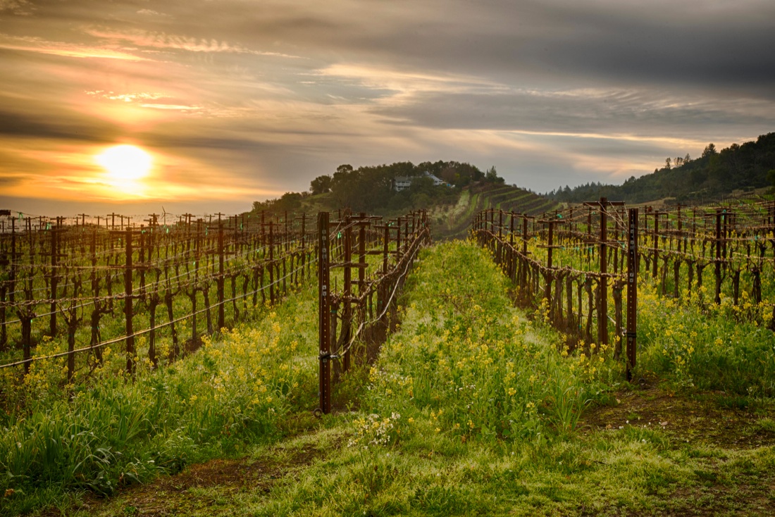 12 località per gli amanti del vino da visitare nel 2017 12 località per gli amanti del vino da visitare nel 2017