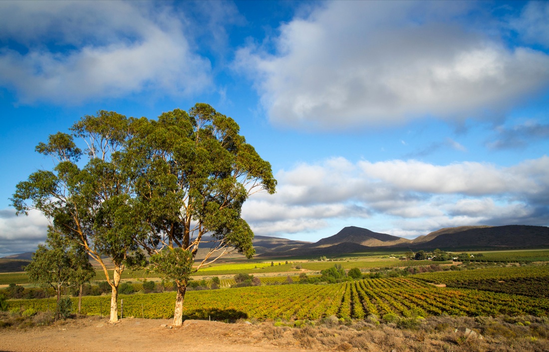 12 località per gli amanti del vino da visitare nel 2017 12 località per gli amanti del vino da visitare nel 2017