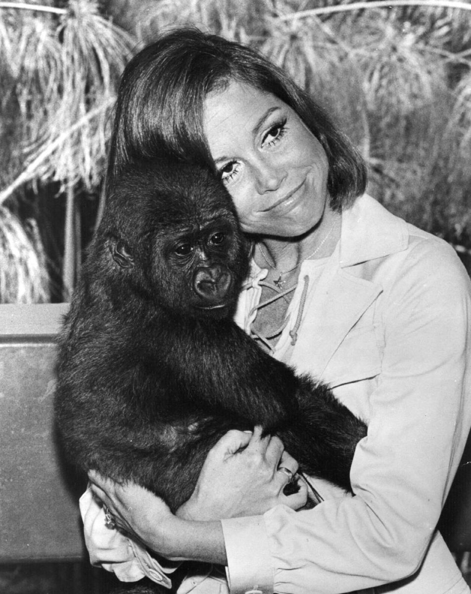 È morta Mary Tyler Moore, attrice simbolo della donna moderna in tv – Foto È morta Mary Tyler Moore, attrice simbolo della donna moderna in tv – Foto