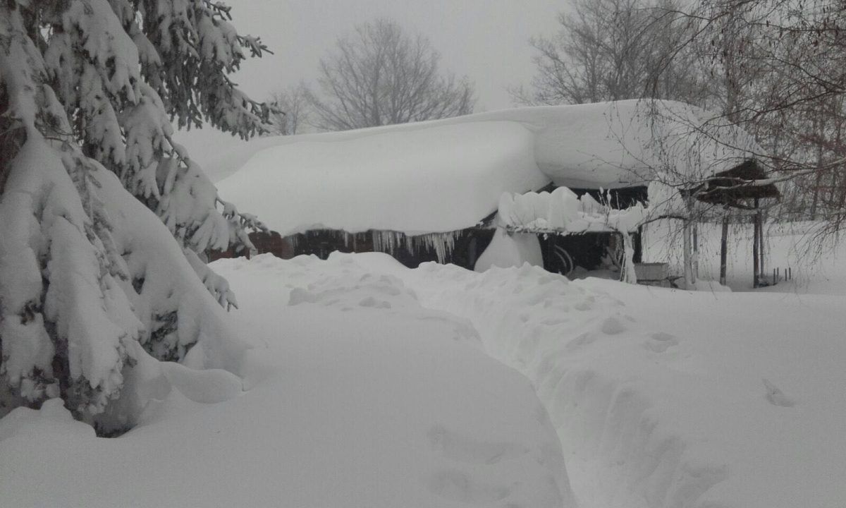 Galleria foto 'Il black out elettrico nelle zone terremotate: la situazione' - foto 6