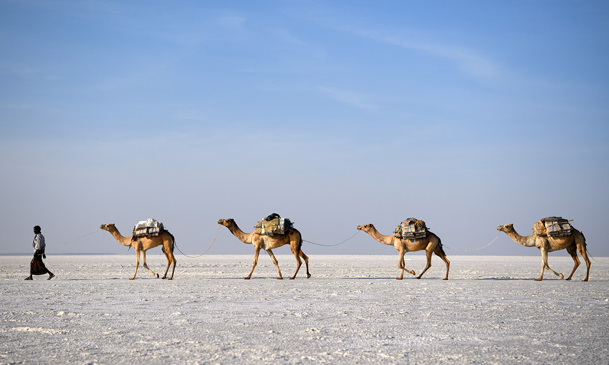Etiopia, viaggio fotografico nella Depressione della Dancalia Etiopia, viaggio fotografico nella Depressione della Dancalia