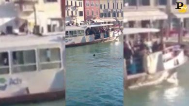 Venezia: profugo annega nel Canal Grande | video
