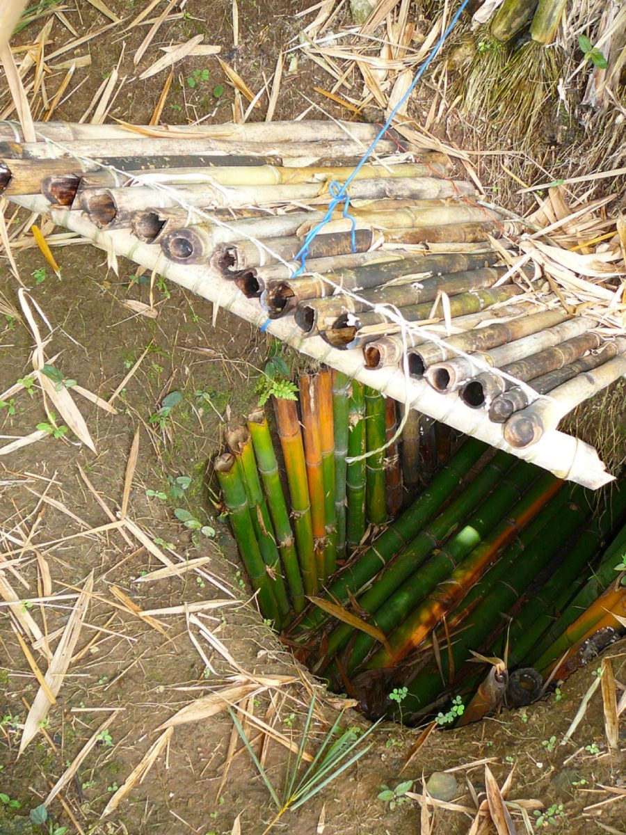 45 anni fa la resa degli ultimi soldati giapponesi – foto