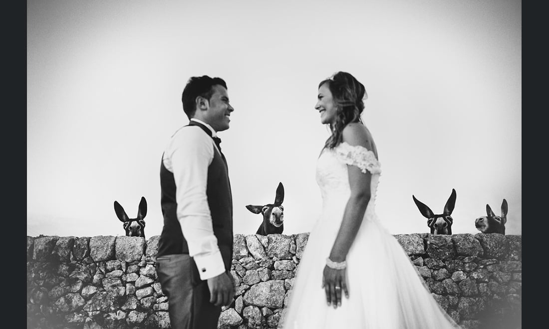 Le più belle foto di matrimonio del 2016