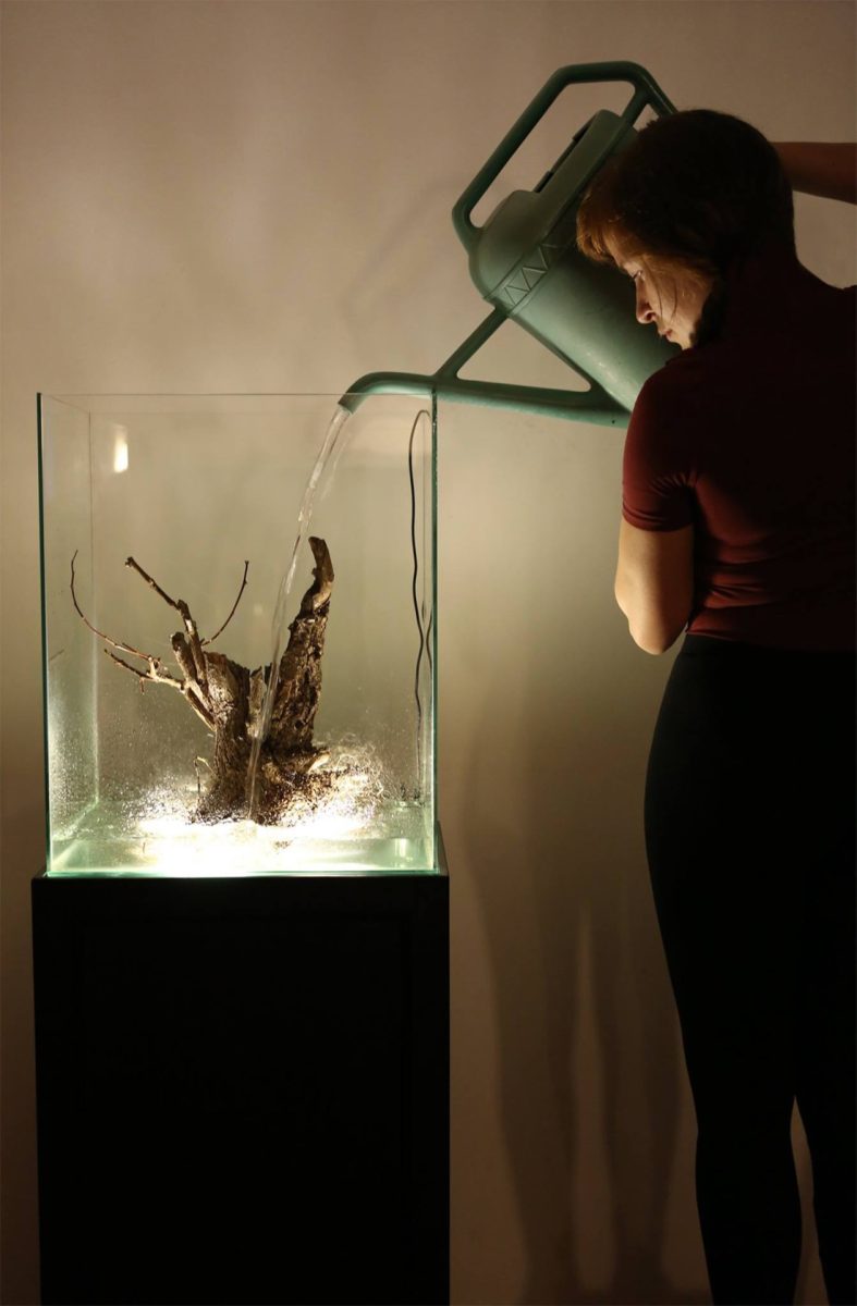 SetUp – Fiera d’arte contemporanea indipendente SetUp – Fiera d’arte contemporanea indipendente