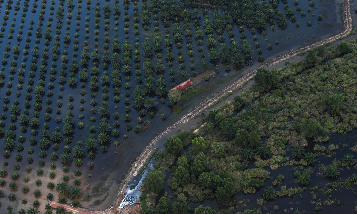 Thailandia, un mese di alluvioni – Foto Thailandia, un mese di alluvioni – Foto