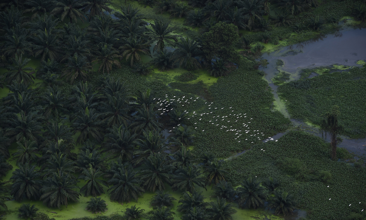 Thailandia, un mese di alluvioni – Foto Thailandia, un mese di alluvioni – Foto