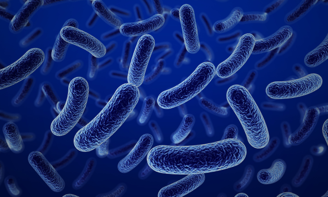 Autismo: la chiave per combatterlo è nell’intestino? Autismo: la chiave per combatterlo è nell’intestino?