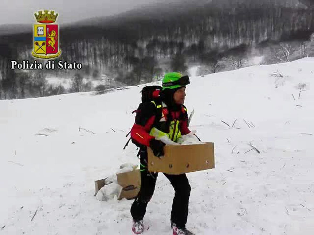 Galleria foto 'Terremoto e neve: l’emergenza in Centro Italia – FOTO e VIDEO' - foto 52