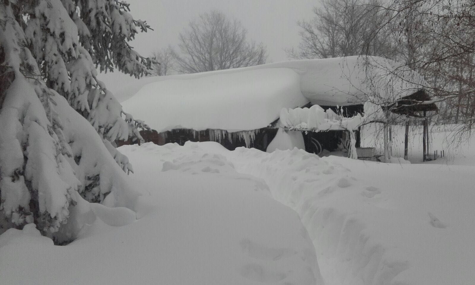 Terremoto e maltempo in Centro Italia: “Dopo la neve, le valli andranno in crisi” Terremoto e maltempo in Centro Italia: “Dopo la neve, le valli andranno in crisi”