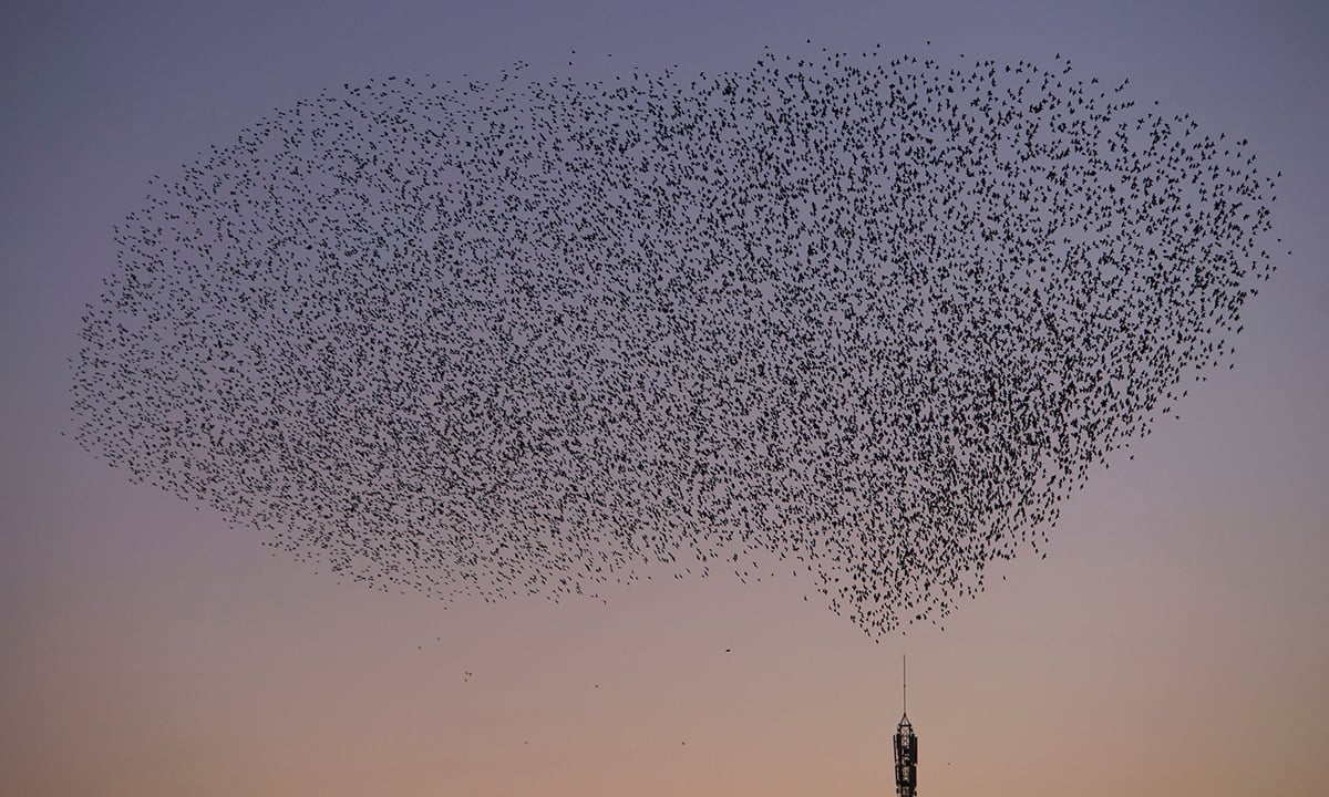 Le foto più belle della settimana – 14/20 gennaio