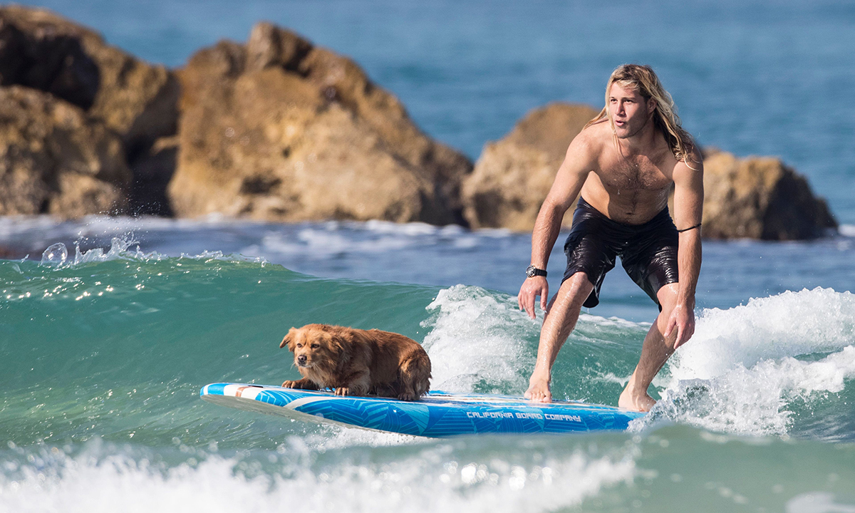 Le foto più belle della settimana – 14/20 gennaio