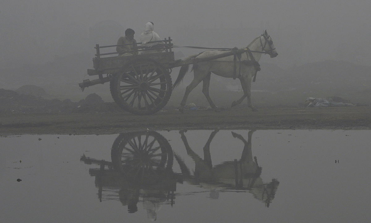 Le foto più belle della settimana – 14/20 gennaio