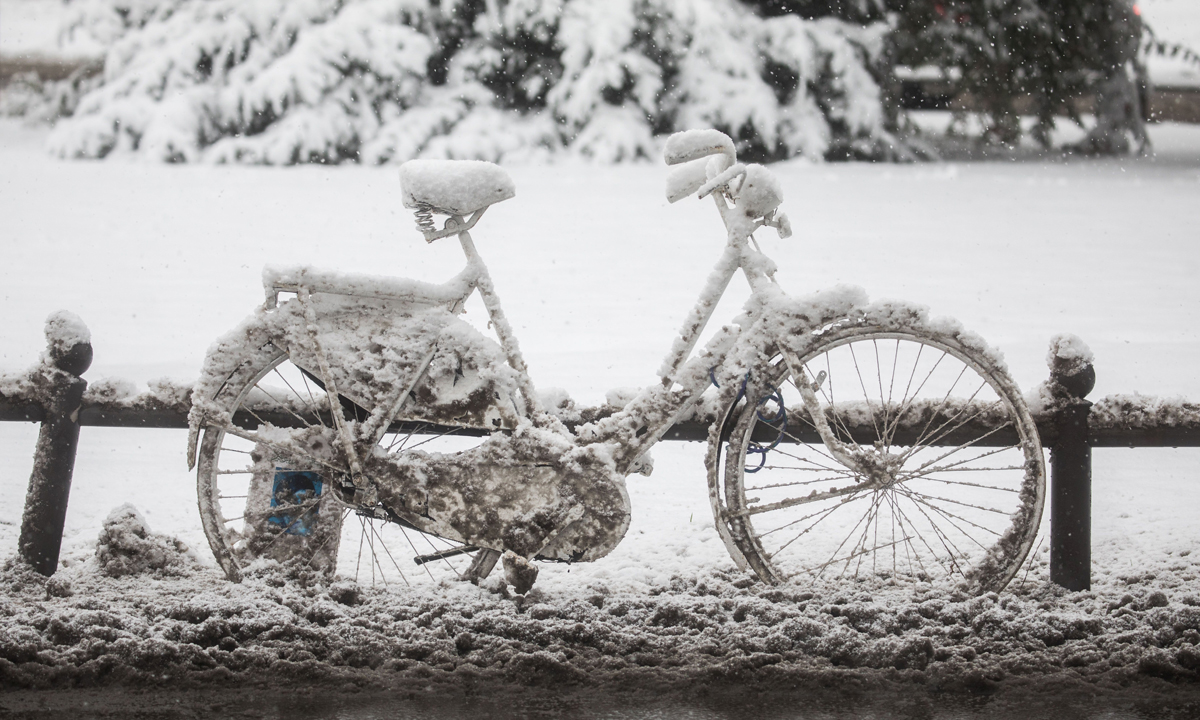 Le foto più belle dell’inverno Le foto più belle dell’inverno
