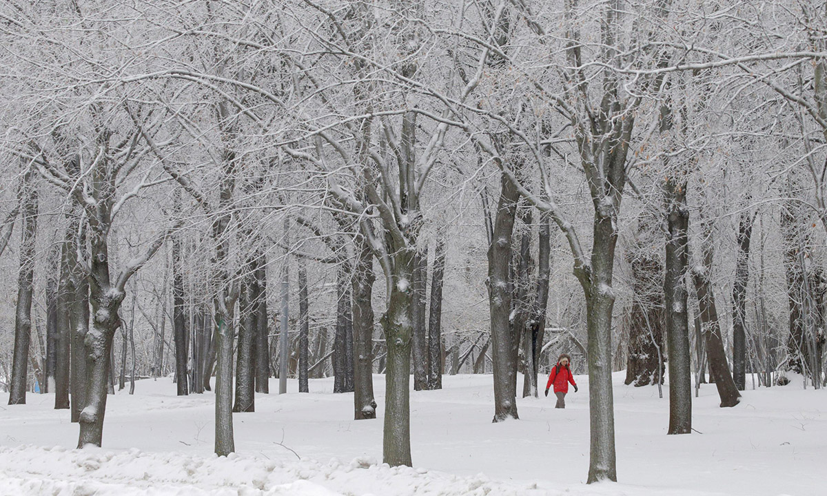 Le foto più belle dell’inverno Le foto più belle dell’inverno