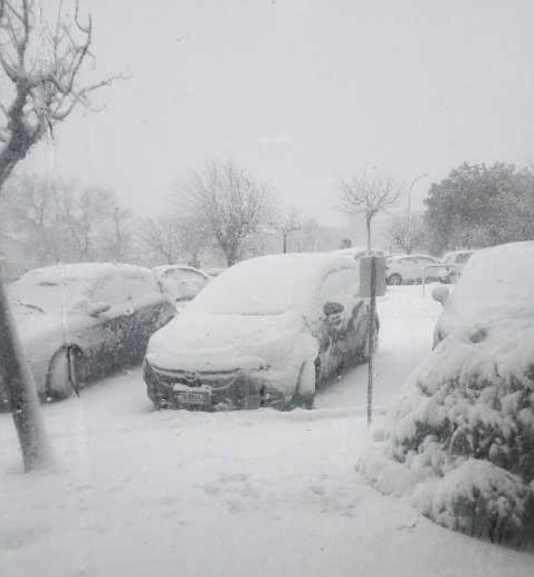 Prosegue il maltempo in Italia, con neve, freddo e forte vento – Foto e Video Prosegue il maltempo in Italia, con neve, freddo e forte vento – Foto e Video