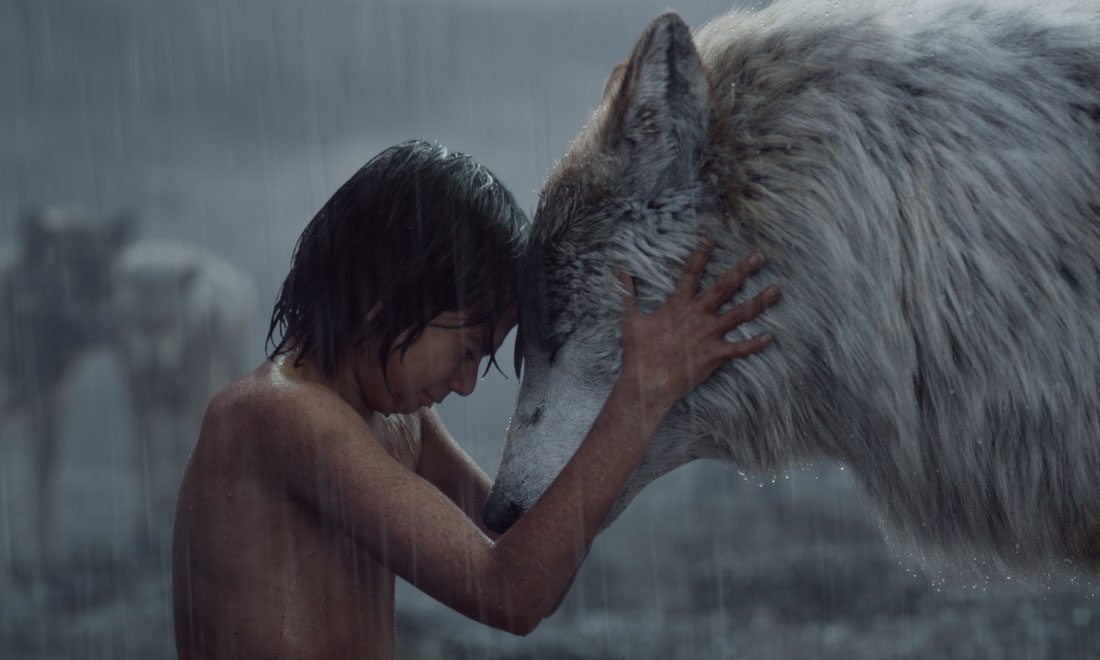 I 20 film più visti nel 2016 negli USA