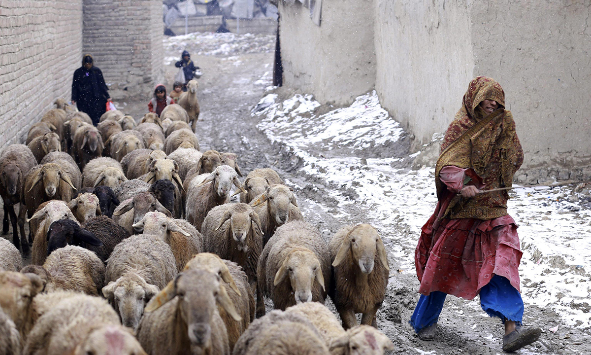 L’inverno in Afghanistan: foto di vita quotidiana L’inverno in Afghanistan: foto di vita quotidiana