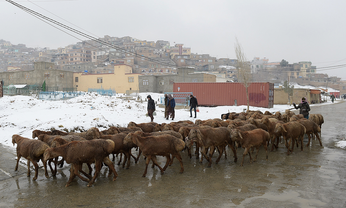 L’inverno in Afghanistan: foto di vita quotidiana L’inverno in Afghanistan: foto di vita quotidiana
