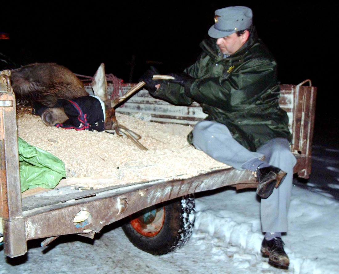 Il Corpo Forestale dello Stato: la storia in FOTO