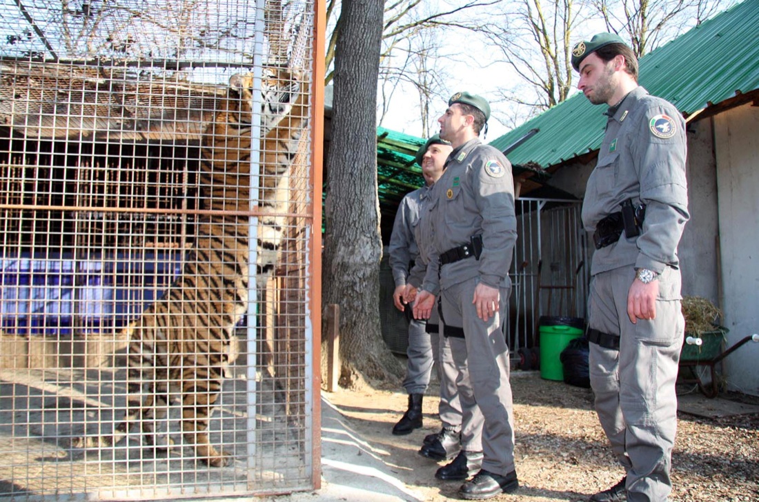 Il Corpo Forestale dello Stato: la storia in FOTO