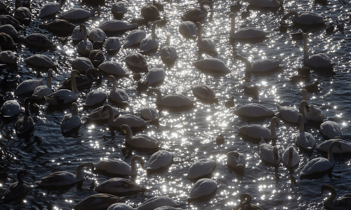 Le foto più belle della settimana – 7/13 gennaio