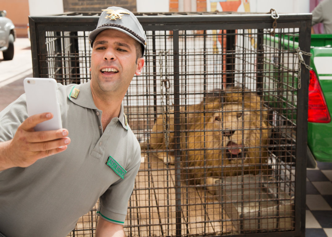 Stefano Accorsi e Checco Zalone papà vip
