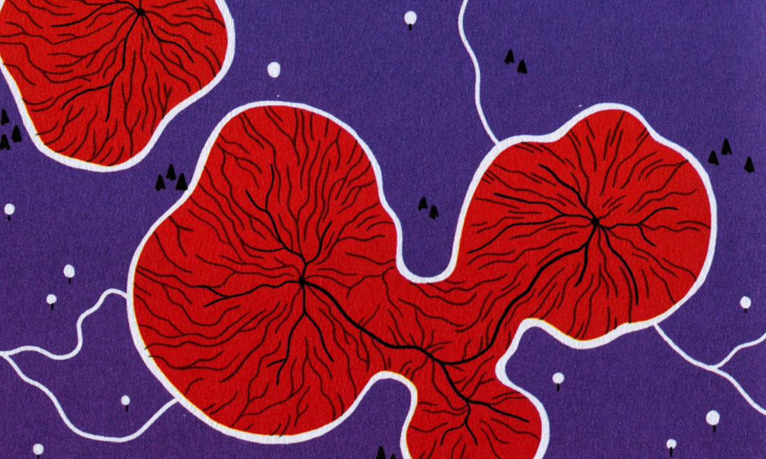 ‘Dressing’ di Michael DeForge ‘Dressing’ di Michael DeForge