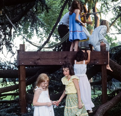 Trump alla Casa Bianca: cosa lasciano gli Obama (e gli altri Presidenti) Trump alla Casa Bianca: cosa lasciano gli Obama (e gli altri Presidenti)