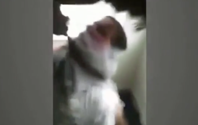 Chicago: disabile rapito e torturato dai compagni di scuola