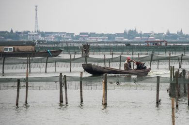 Cina: le opportunitá nel settore agricolo