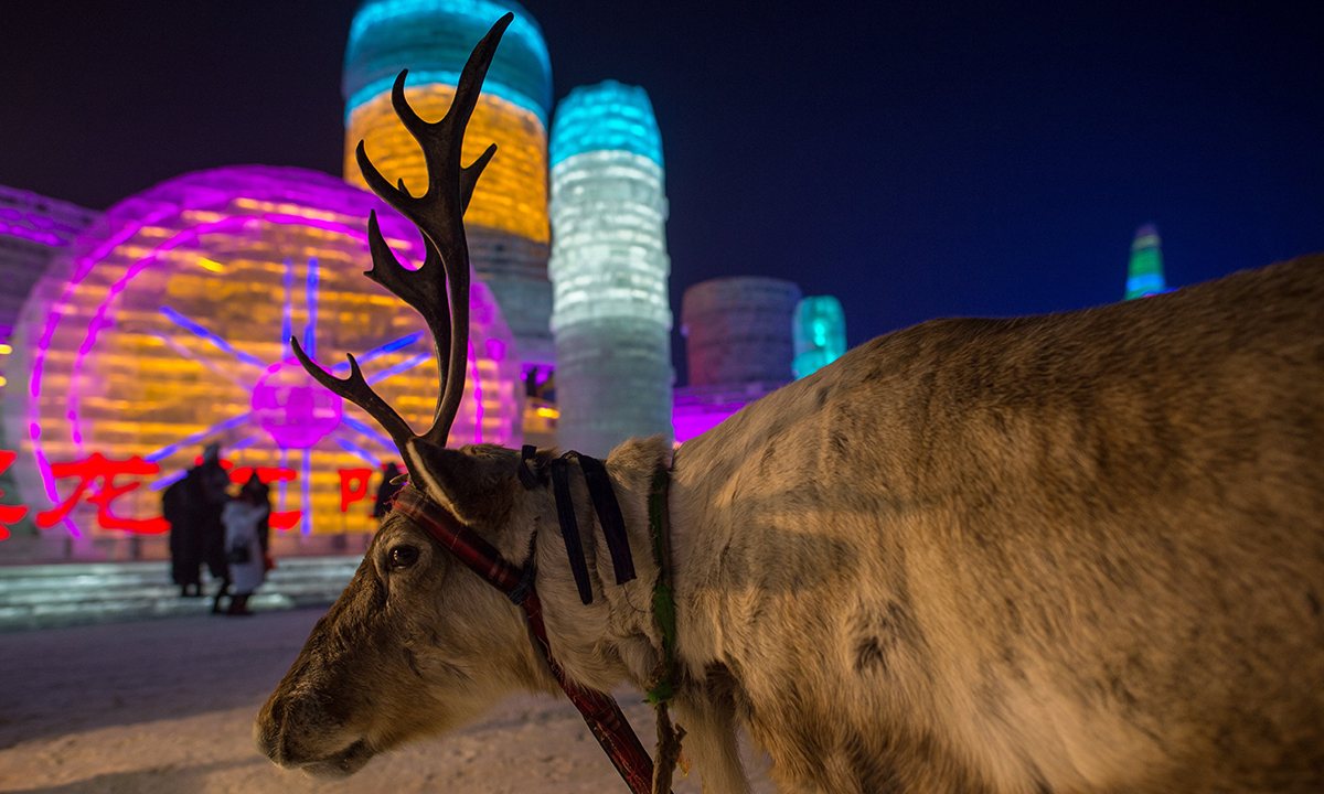 Cina, il festival del ghiaccio e della neve di Harbin Cina, il festival del ghiaccio e della neve di Harbin