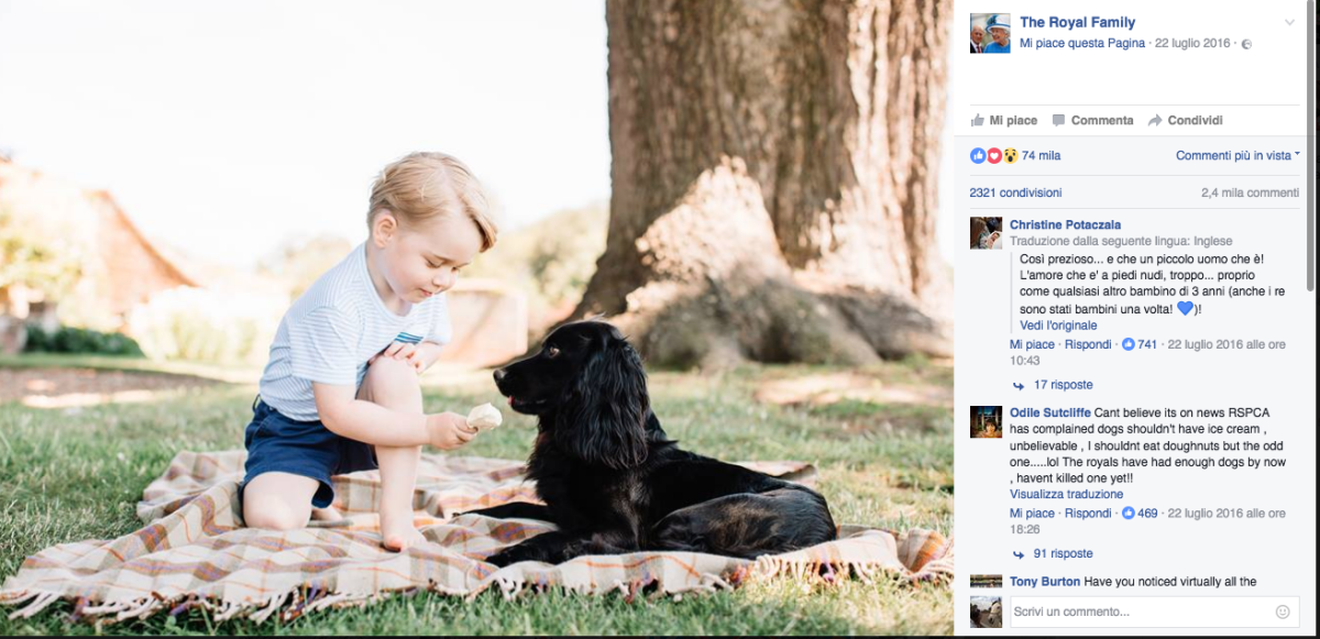 Galleria foto 'Kate Middleton fotografa reale doc' - foto 6