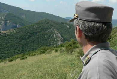 La Forestale entra nell’Arma dei Carabinieri: le cose da sapere