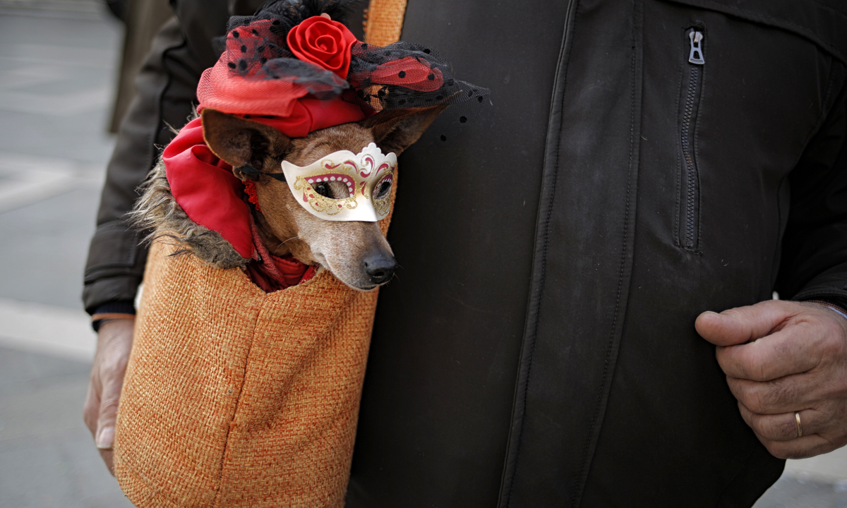 Le foto più belle del Carnevale 2017 Le foto più belle del Carnevale 2017