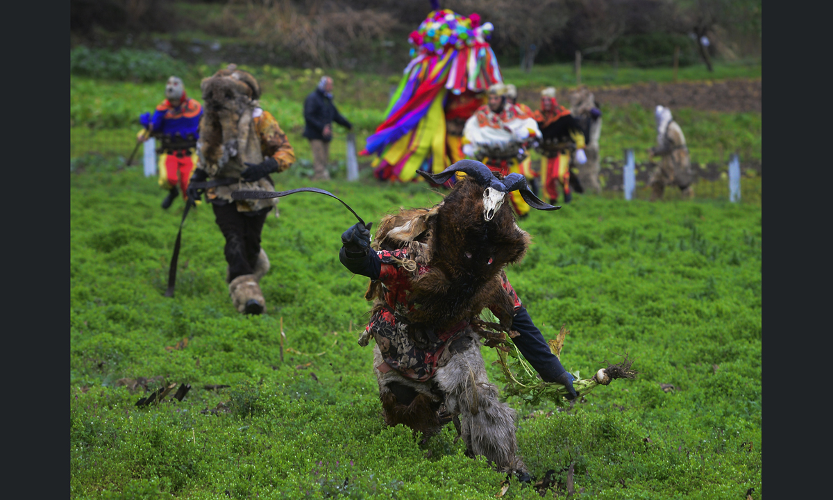 Le foto più belle del Carnevale 2017 Le foto più belle del Carnevale 2017