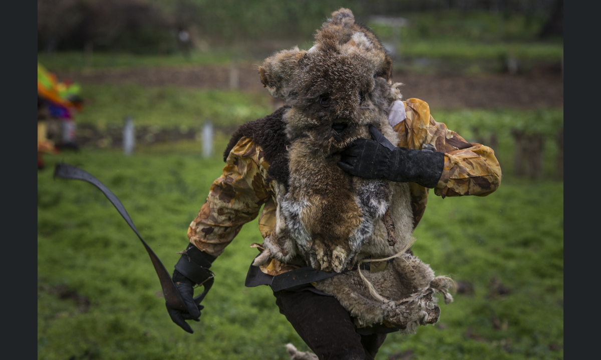 Le foto più belle del Carnevale 2017 Le foto più belle del Carnevale 2017