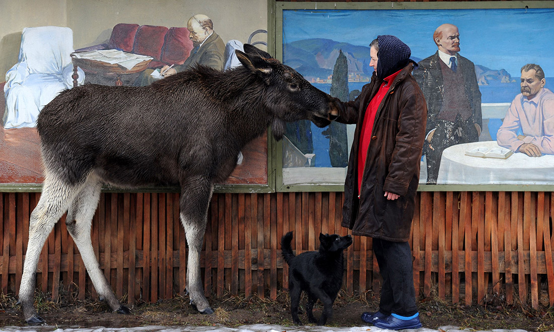 Le foto più belle della settimana – 18/24 febbraio