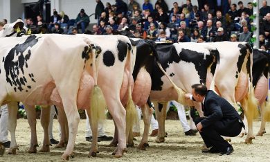 Le foto più belle della settimana – 18/24 febbraio