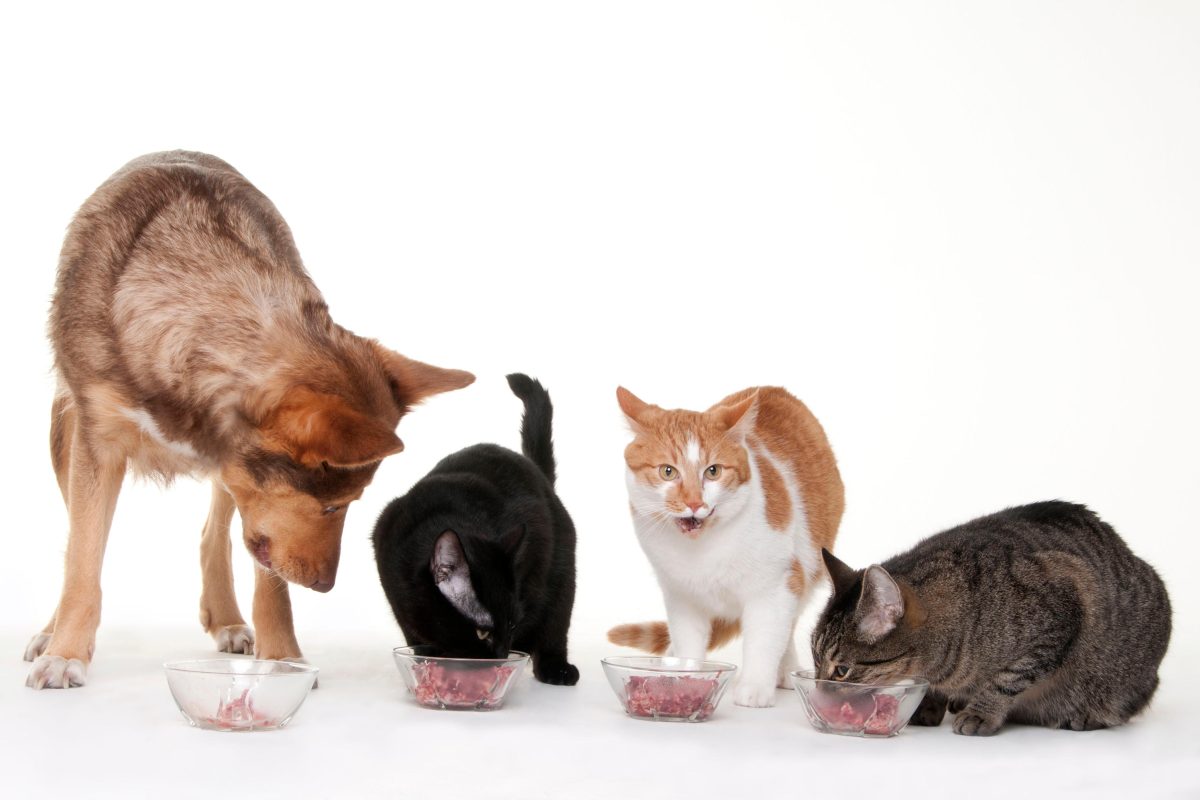 I 10 (+2) lavori peggiori al mondo I 10 (+2) lavori peggiori al mondo