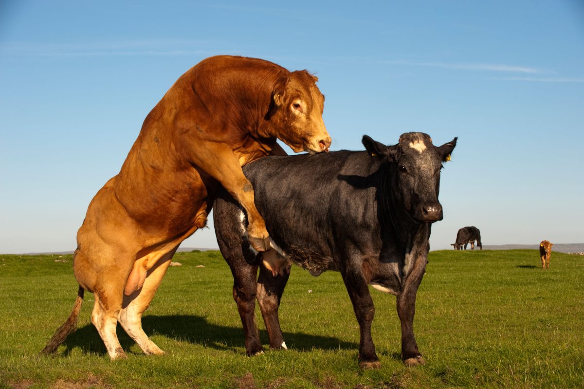 I 10 (+2) lavori peggiori al mondo I 10 (+2) lavori peggiori al mondo