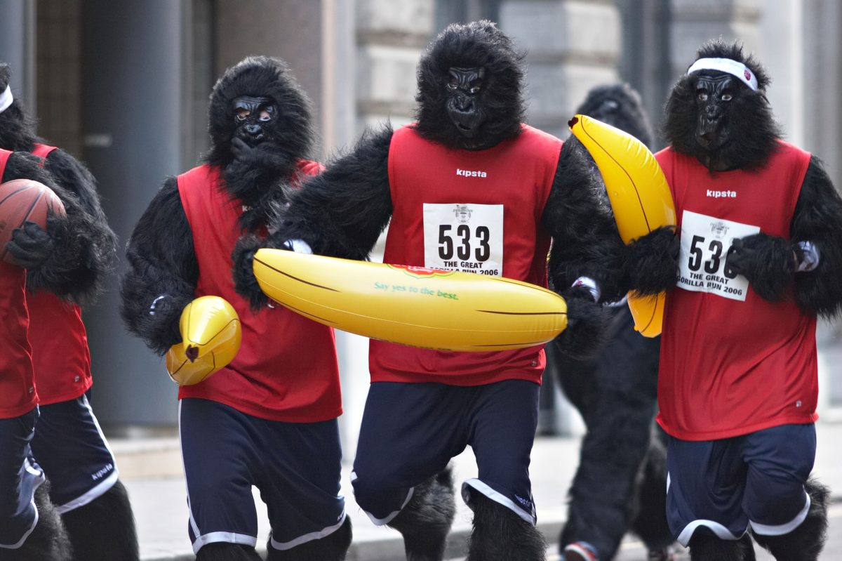 Galleria foto 'I 10 (+2) lavori peggiori al mondo' - foto 4