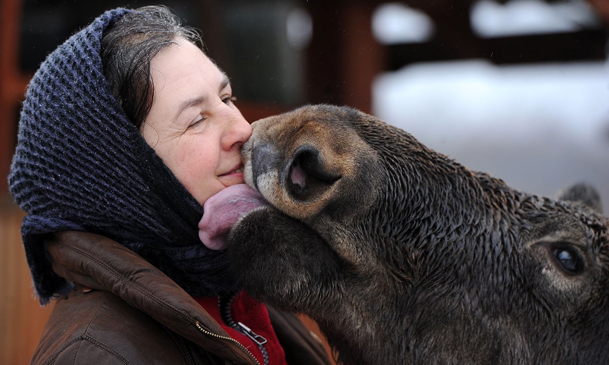 ANIMALI, le foto più belle del mese – Febbraio 2017
