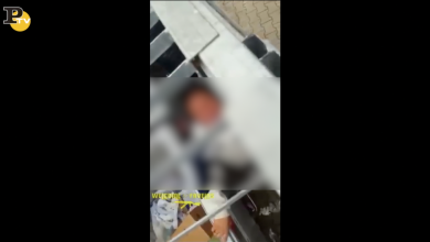 Follonica: ladre rom messe in gabbia al supermercato | video