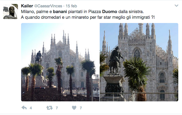 Dopo le palme, in Piazza Duomo arrivano i banani. E i social si riaccendono